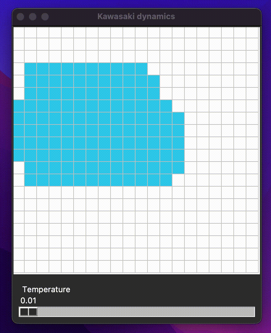 Kawasaki dynamics in action